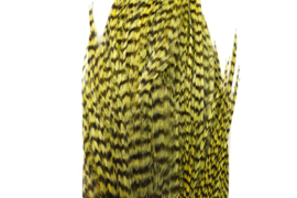 Whiting Bugger Pack Grizzly dyed Olive