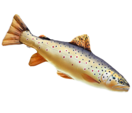 Stoffe Bruine Forel