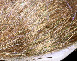 Blend Angel Hair, Golden Forest