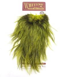 Whiting Coq de Leon Bronze Saddle Grizzly