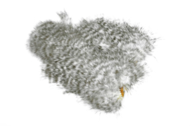 Whiting Spey SH/C (Soft Hackle/Chicabou)