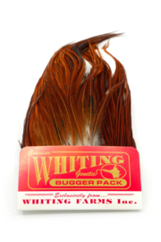 Whiting Bugger Pack Brown