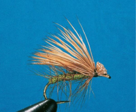 Buck Caddis ( Olive )