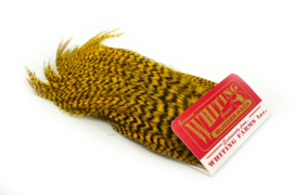 Whiting Bugger Pack Grizzly dyed Yellow