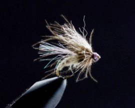 CDC Auskruecherb (Blue Dun )