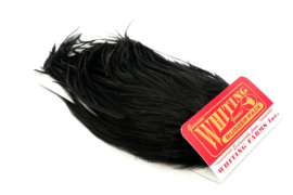 Whiting Bugger Pack Black