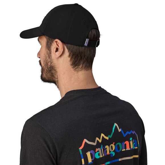 Patagonia P-6 Label Trad Cap CASCADE GREEN