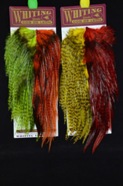 Whiting Cock de Leon CDL Predator Pack