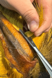 Renomed Supercut FS8