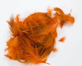 Mallard Flank Orange