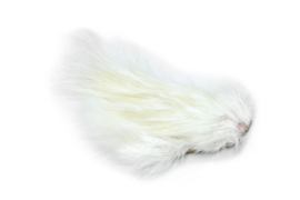 Whiting Bird Fur