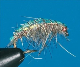 Specetra Bachflohkrebs