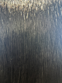 FF NUTRIA  Black