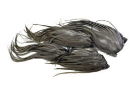 Whiting Bugger Pack White dyed Dark Dun