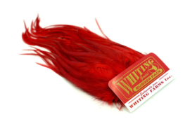 Whiting Bugger Pack White dyed Red