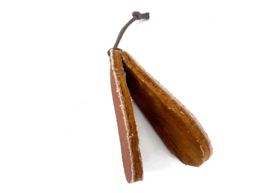Amadou