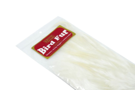 Whiting Bird Fur