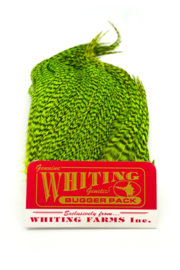 Whiting Bugger Pack Grizzly dyed Fluo Green Chartreuse