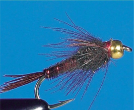 Nymphen