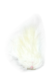 Whiting Bird Fur