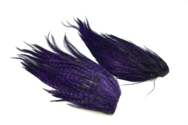 Whiting Bugger Pack Grizzly dyed Purple