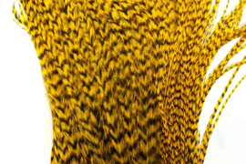 Whiting Bugger Pack Grizzly dyed Yellow