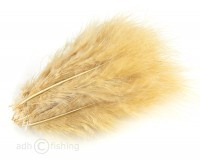 Marabou Ginger