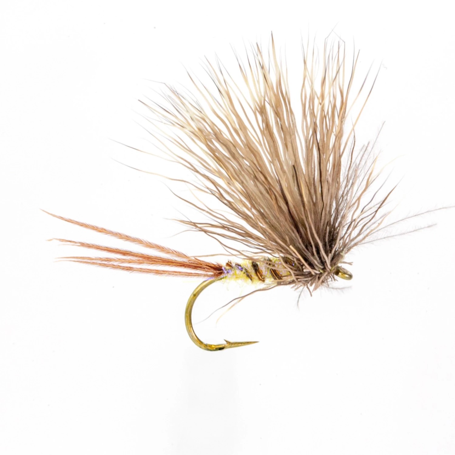 CDC Mayfly 2.0 #8