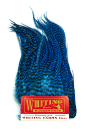 Whiting Bugger Pack Grizzly dyed Kingfisher Blue