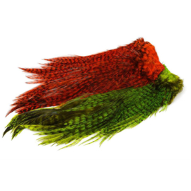Whiting Cock de Leon CDL Predator Pack