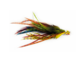 Whiting Cock de Leon Saddles Featerpack