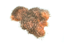 Whiting Spey SH/C (Soft Hackle/Chicabou)