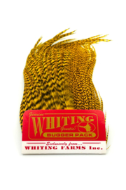 Whiting Bugger Pack Grizzly dyed Yellow