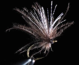 CDC Diptera