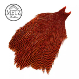 Metz Magnum #2 Neck Grizzly Orange
