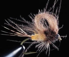 CDC Emerger, Beige