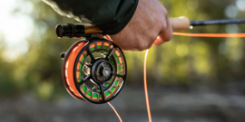 SAGE Spectrum LT Morel #5/6