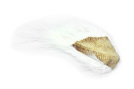 Whiting Bird Fur