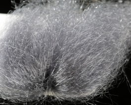 Saltwater Ghost Hair