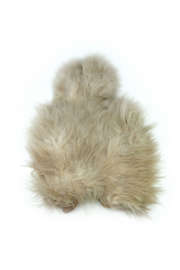 Whiting Spey SH/C (Soft Hackle/Chicabou)