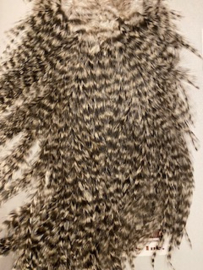 Whiting Coq de Leon Bronze Saddle Grizzly