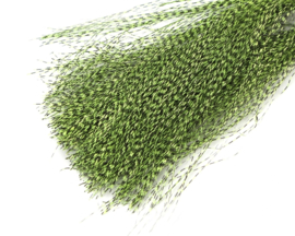 Traun River Voodoo Fibres