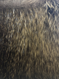 FF NUTRIA  Fiery Brown