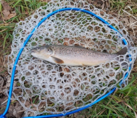 Traun River Alu-Schepnet "Standard" – Opvouwbaar & Uitschuifbaar