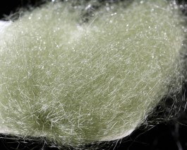 Saltwater Ghost Hair