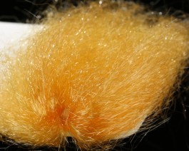 Saltwater Ghost Hair
