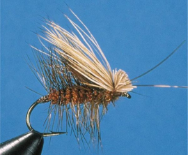 Irresistible Elk Caddis (brown )