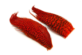 Whiting Bugger Pack Grizzly dyed Orange
