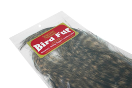 Whiting Bird Fur