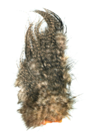 Whiting Bird Fur